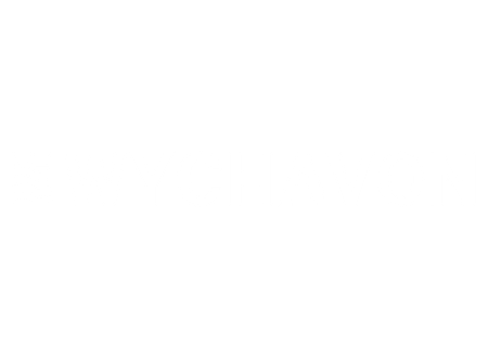 logo Wychavon district council